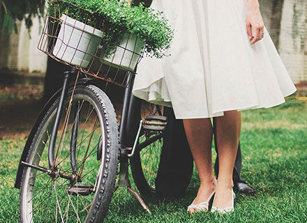 Fringilla Quam Bibendum Magna