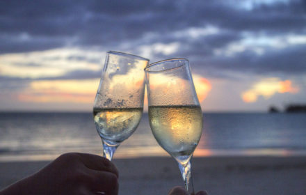 Condimentum Vehicula Pellentesque