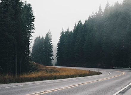 Nullam accumsan lorem in