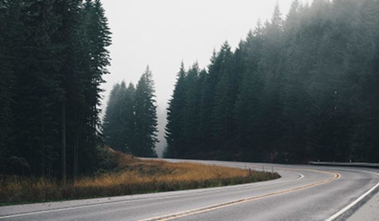 Nullam accumsan lorem in